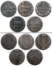 zestaw 5 jednogroszówek 1836, 1837, 1838, 1839 i