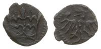 denar koronny, Kraków, Kop. 377, Kubiak typ II