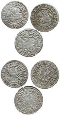 Polska, zestaw: 3 x półgrosz [2 x Zygmunt I Stary (1513, 1514), 1 x Aleksander Jagiellończyk]
