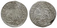 grosz na stopę polską 1566, Tykocin, z herbem Ko