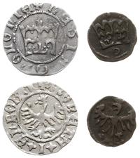 zestaw 2 monet, półgrosz koronny i denar koronny