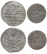 zestaw 2 monet, grosz 1529 Kraków i szeląg 1530 