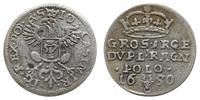 dwugrosz koronny 1650, Wschowa, Aw: Orzeł z małą