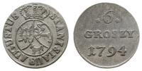 6 groszy 1794, Warszawa, Plage 207