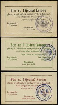 zestaw 3 bonów na 1 koronę 1918 (luty, czerwiec,