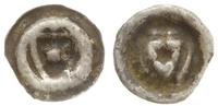 brakteat ok. 1353-1360, Tarcza z gwiazdą, srebro