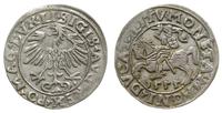 Polska, półgrosz, 1555