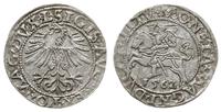 Polska, półgrosz, 1562