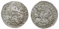 Polska, półgrosz, 1564