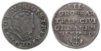 trojak 1540, Gdańsk, Iger G.40.1.c
