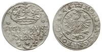 Polska, grosz, 1546