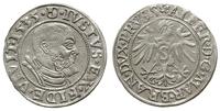 Prusy Książęce 1525-1657, grosz, 1535