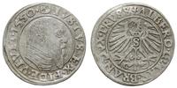 Prusy Książęce 1525-1657, grosz, 1550