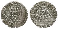 półgrosz 1416-1422, Kraków, pod koroną W‡, monet