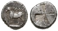 siglos 340-320, Aw: Byk kroczący w lewo, nad nim