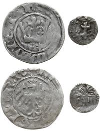 zestaw: półgrosz i denar, półgrosz, lata 1416-14