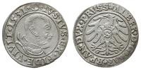 Prusy Książęce 1525-1657, grosz, 1531