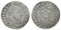 grosz 1542, Królewiec, ładny, Slg. Marienburg 11