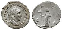 antoninian 249-251, Rzym, Aw: Popiersie w prawo,