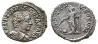denar 203-208, Rzym, Aw: Popiersie w prawo, P SE