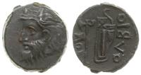 brąz 320-310 pne, Aw: Głowa Borystenesa (uosobie