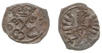 denar 1607, Poznań, Kop. 7958 (R4), Tyszkiewicz 