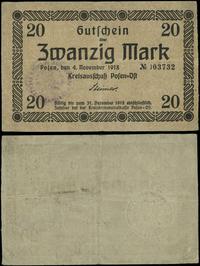 Wielkopolska, 20 marek, 4.11.1919
