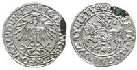 Polska, półgrosz, 1548