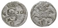 dwudenar 1620, Wilno, ładny połysk menniczy, Iva
