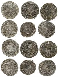 Węgry, zestaw denarów, 1528, 1537, 1543, 1545, 1550, 1554 KB