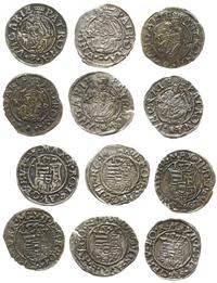 zestaw denarów 1567, 1571, 1576, 1577 (2x), 1578