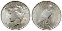 1 dolar 1924, Filadelfia, typ Peace, srebro "900