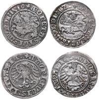 Polska, zestaw: 2 x półgrosz litewski, 1510 i 1512