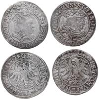 Polska, zestaw: 2 x grosz, 1530, 1531
