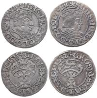 zestaw: 2 x grosz 1532, 1535, Gdańsk, CNG 57.II,
