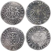 Polska, zestaw: 2 x grosz, 1534 i 1540
