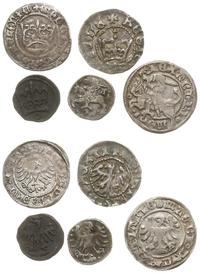 zestaw 5 monet średniowiecznych:, półgrosz i den