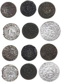 Ryga- miasto, zestaw: 2 x szeląg (1628 i 1630) Gustawa II Adolfa, półtorak 1644, 3 x szeląg (1645, 1651, 1653) Krystyny