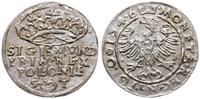 Polska, grosz, 1546