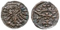 denar 1555, Gdańsk, polakierowany, ale rzadki, K