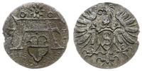 denar 1571, Królewiec, mimo lekkiego wykruszenia