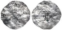 anonimowy denar X / XI w, Popiersie św. Kiliana 