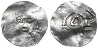 denar 1039-1056, mennica Maastricht, Popiersie k