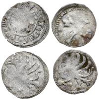 zestaw 2 monet z XV w., Gardziec, denar XV w., T