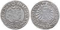 Polska, grosz, 1534