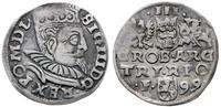 trojak 1599, Wschowa, mała kryza króla, Iger W.9