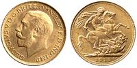 1 funt 1915/S, złoto 7.99g