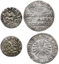 zestaw: grosz koronny 1529 oraz półgrosz koronny