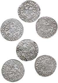 Polska, zestaw: 3 x półgrosz, 1558, 1559, 1562