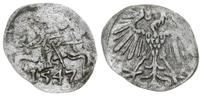 Polska, denar, 1547